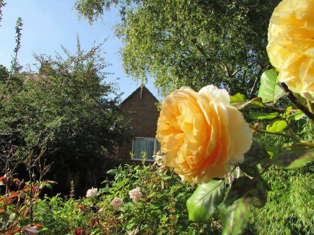 Kipps Backpackers Canterbury Exterior foto